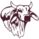 Hallettsville High School logo