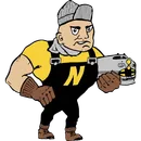 Newton High School logo