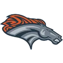 East Forsyth High School logo