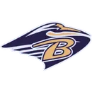 Brantley County High School logo