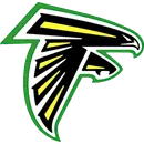 Falcon High School logo