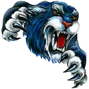 Douglas High School logo