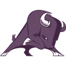 Sunset High School logo