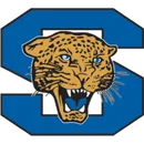 Summit High School logo