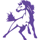 Benjamin High School logo
