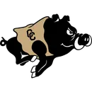 Colquitt County High School logo