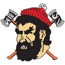 Council High School logo