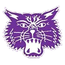 Muncie Central High School logo