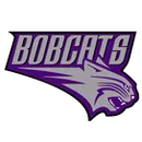 Battlefield High School logo