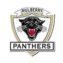 Mulberry High School logo