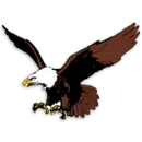 Norwich High School logo