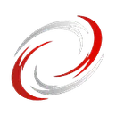 Detroit Community High School logo