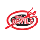Dawson County High School logo