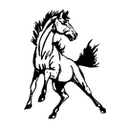Shandon High School logo