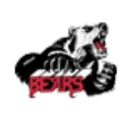 Juneau-Douglas High School logo