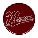 Robinson High School logo