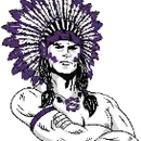 Shamokin Area High School logo