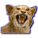 Clinch School logo