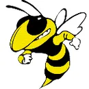 Memphis High School logo