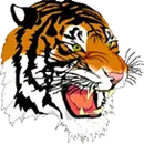 Tri-Township Tigers logo