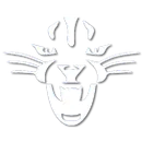 Deep Run High School logo