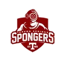 Tarpon Springs High School logo