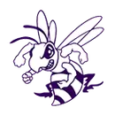 Day 1 - Hornet Gym - Session 2 Multi-team Event logo