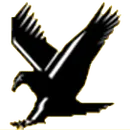 Hudson's Bay High School logo