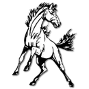 Eastern Montgomery High School logo