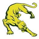 Canadian High School logo