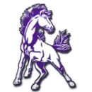 Belle Fourche High School logo