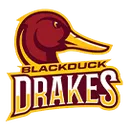 Blackduck High School logo