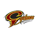 Denver High School logo