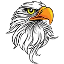 Porters Chapel Academy logo