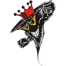 North Medford High School logo