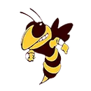 Williamstown High School logo