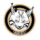 Clarion Area High School logo