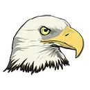 South Pike High School logo