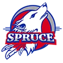 H Grady Spruce High School logo