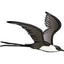 Ayaprun High School logo