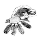 Fond Du Lac Ojibwe School logo