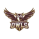 Hancock Public School logo