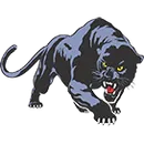 Stryker Local Schools logo