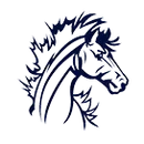 Mohall-Lansford-Sherwood High School logo