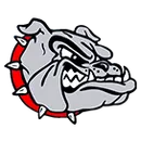 Flasher logo