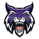 Hallsville High School logo