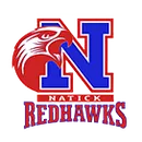 Natick High School logo