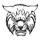 Newcastle High School logo