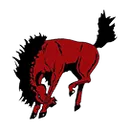 Paisley High School logo