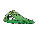 Spring Creek High School logo